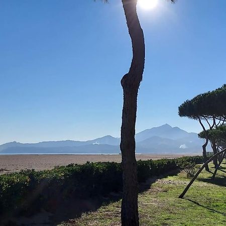 Appartement Renove Avec Balcon A 100 M De La Plage Argelès-sur-Mer Exterior foto